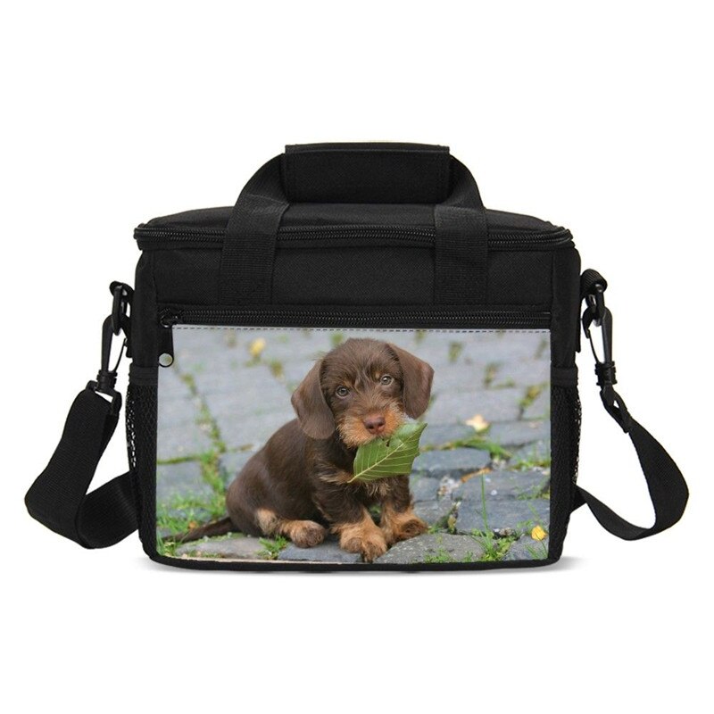 Animal Print Dachshund Sausage Dog Kawaii Kids Cooler Bag Picnic Outside Insulated Box Women Portable Lancheira Thermo Thermal: SCBU019001GZF