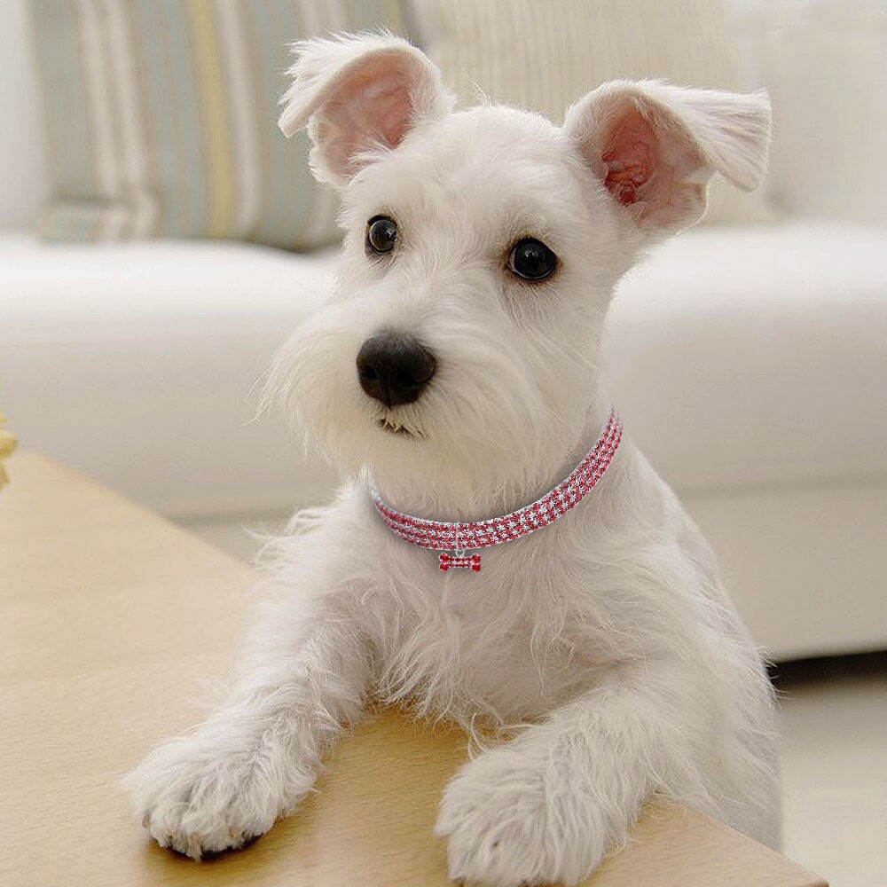 3 rijen diamanten hondenhalsband met juwelen en een hanger van bot, strass-kristalband, puppyhondenhalsband van leer