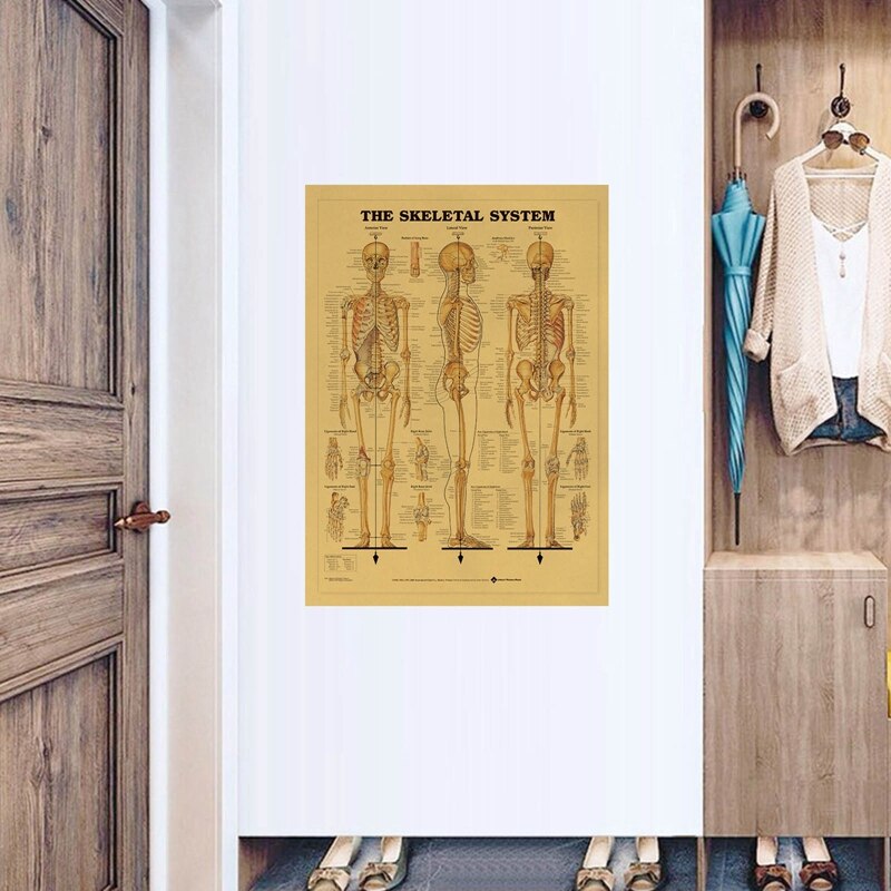 Póster del esqueleto del cuerpo para decoración del hogar, cuadro adhesivo para pared, estructura del sistema nervioso, Retro, papel Kraft