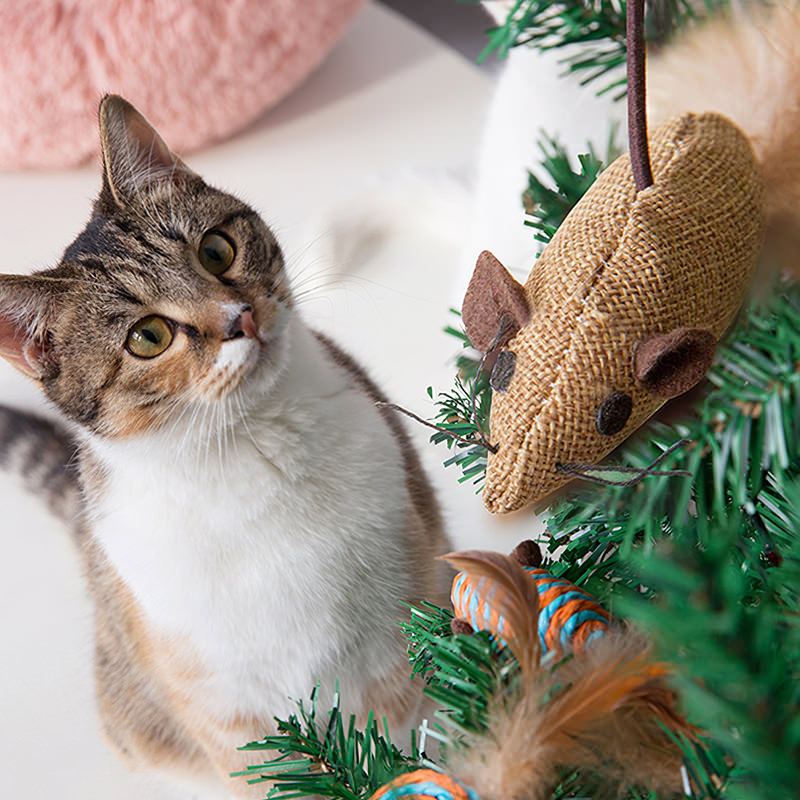 Grappige Kat Stok Kat Speelgoed Milieu Muis Wand Set 7 Pcs Set Veiligheid & Interactieve Spelen Speelgoed Voor Katten