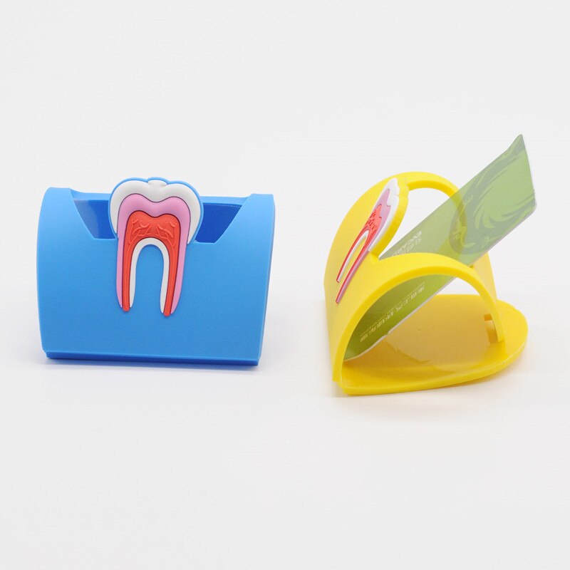 Support de présentoir porte-badge en forme de molaire en caoutchouc 6 couleurs pour dentaire