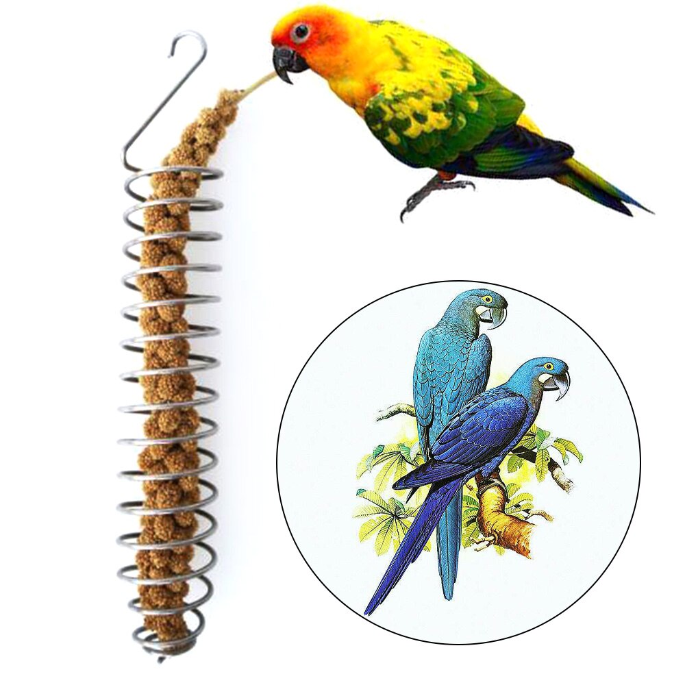 Neue Heiße Edelstahl Vogel Zubringer Papagei essen Korb Putten Obst Gemüse Hirse für Vogel 4.3*26cm