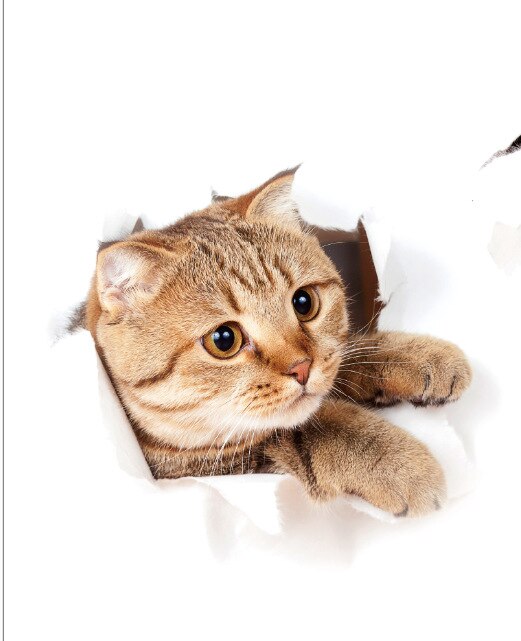Nette 3D kätzchen wc Einfügen umweltschutz schlafzimmer wohnzimmer dekoration wasserdichte kombination nette katze Zauberstab aufkleber: D