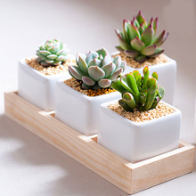 Bote de madera con 3 rejillas para plantas suculentas, flor carnosa, bandejas de caja para jardín, contenedores decorativos para el hogar, maceta para Cactus, maceta, 3 plantas carnosas de varios granos, bandeja de madera, soporte para escritorio, oficina, organizador de escritorio