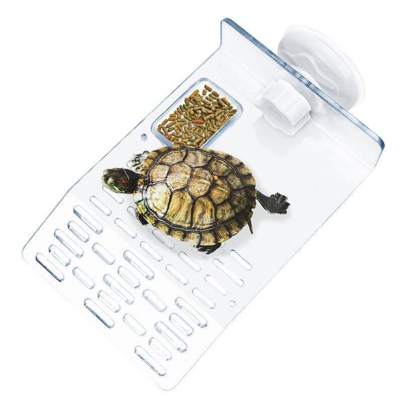 Akvarie skildpadde terrasse platform skildpadde forsyning akryl mole soltørrebord fodring trug dock crawler basking dekoration