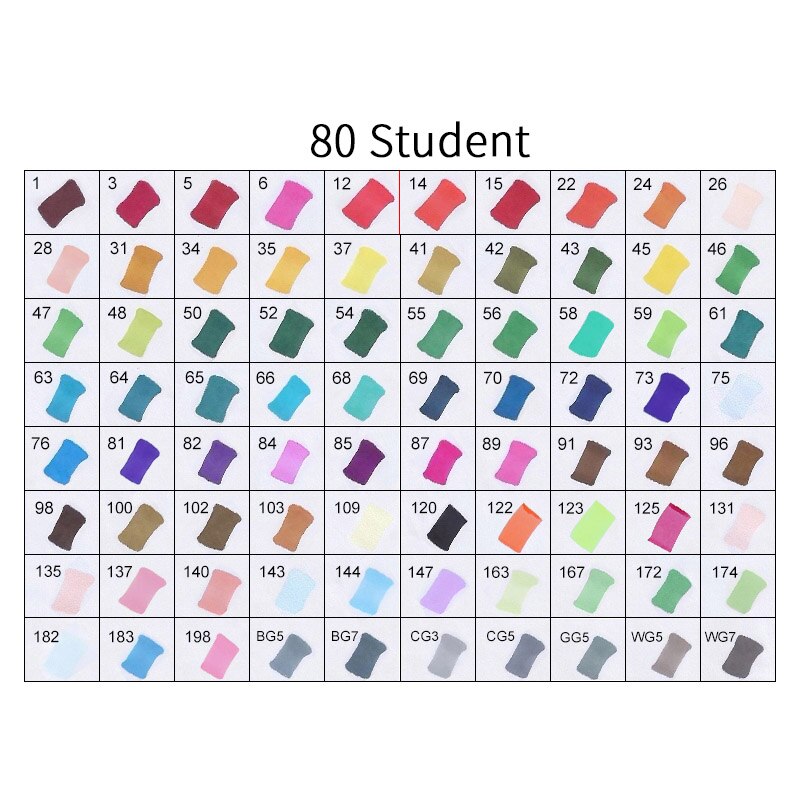 TOUCHNEW T8 30/40/60/80/168 Colors Markers Manga Drawing Markers Pen Alcohol Based Sketch Felt-Tip Twin Brush Pen Art Supplies: 80 STUDENT