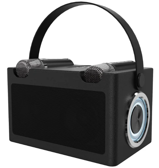 Bärbar bluetooth-högtalare med bas, hi-fi-ljud, trådlös mikrofon för karaoke-hemmafest: Silver-