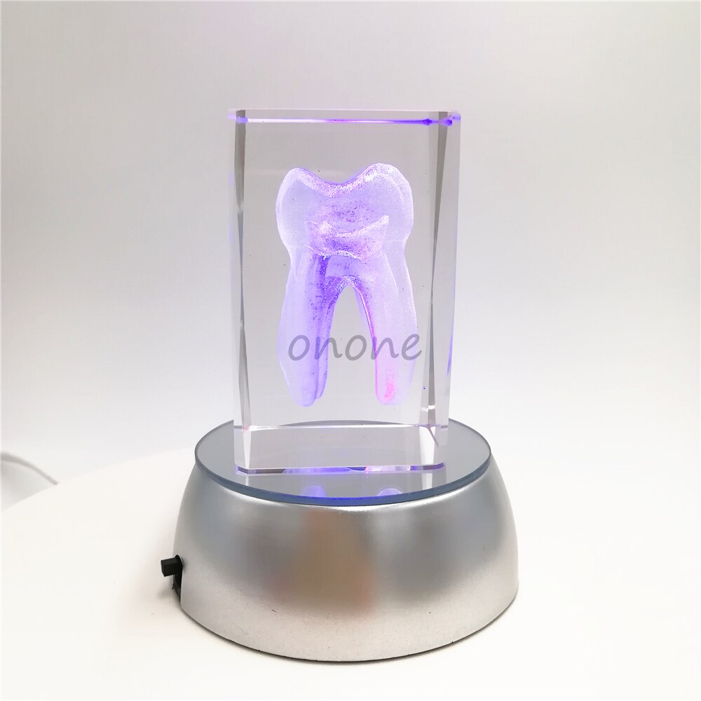 1pcs Dental Artware Teeth Model Dentist Crystal Model Handicraft Article