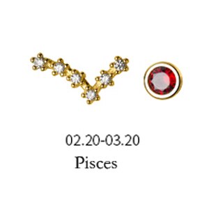 MloveAcc 12 Konstellation Stern Asymmetrie Ohr Studs Kristall Sternzeichen Wassermann Krebs Skorpion Piercing Stud Ohrringe für Frauen Mädchen: Pisces