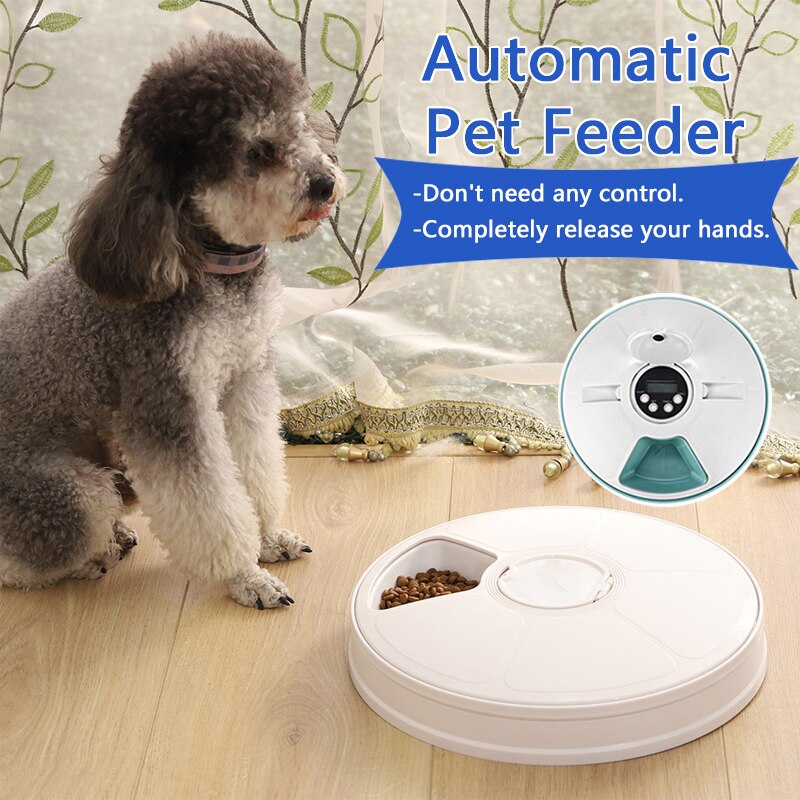 Automatic Pet Feeder Auto Timed Feeder Electric Timing Feeder 6 Meals Cat Dog Dry Food Dispenser 24 Hours Timer Pet Supplies