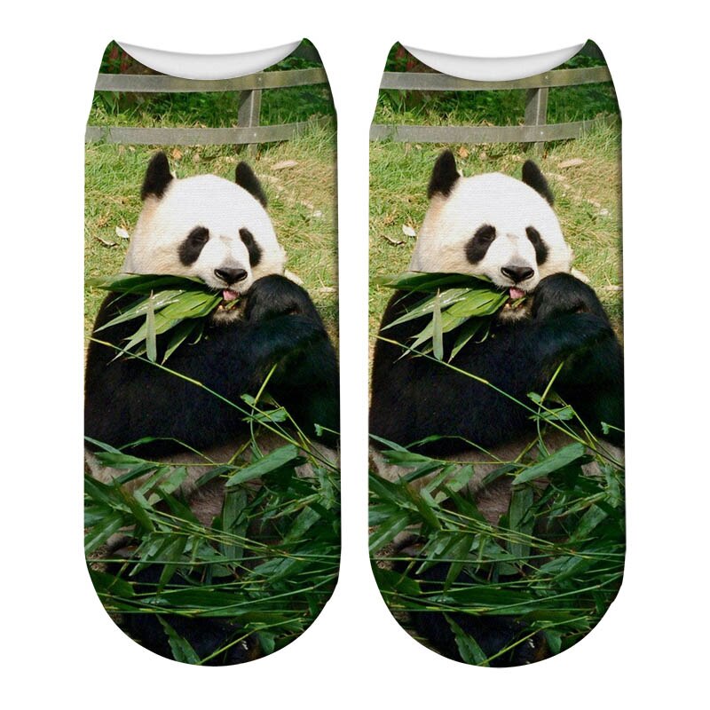 Schattige panda bedrukte sokken korte dieren damessokken terreur nieuwigheid sokken lage enkelsokken 5 zws 69: Stijl 13