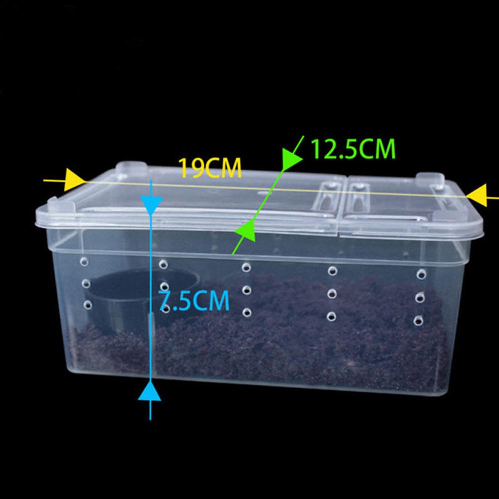 M&S Reptilien Transport Box Medium - 47x34x26,5cm Für Aufzucht & Quarantäne