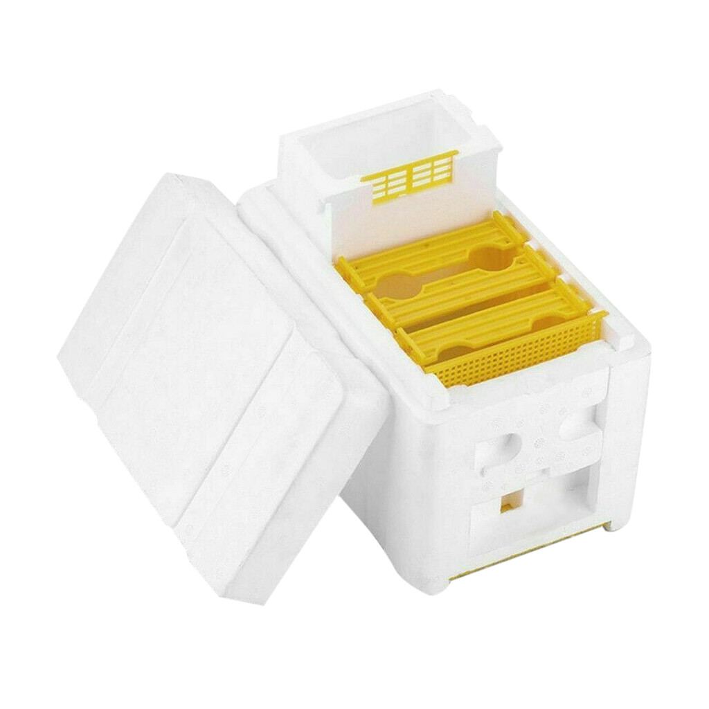 Caja colmena cosechadora polinización de colmena apicultura para apareamiento de abejas aislamiento térmico función antiescape