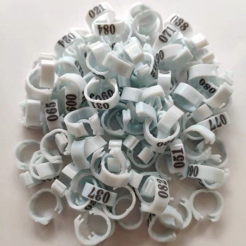 100Pcs Duif Been Met Gevogelte Duif Vogel Papegaai Clamp Ring Met Voet Ring Vogel Markering Ring Huisdier Vogel Benodigdheden vogel Accessoires: white