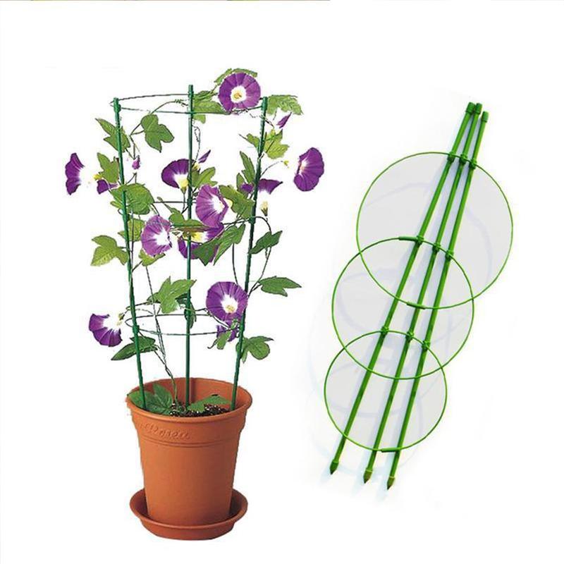 Holdbart klatreplante støttebur hage espalier blomster tomatstativ med 3 ringetone hagearbeid tomatbur