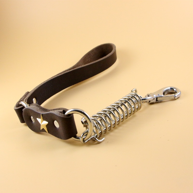 Laisse en cuir pour grands chiens | Chaînes pour chiens de printemps, bonne , Husky Labrador, laisse courte, corde de Traction, accessoires pour animaux de compagnie