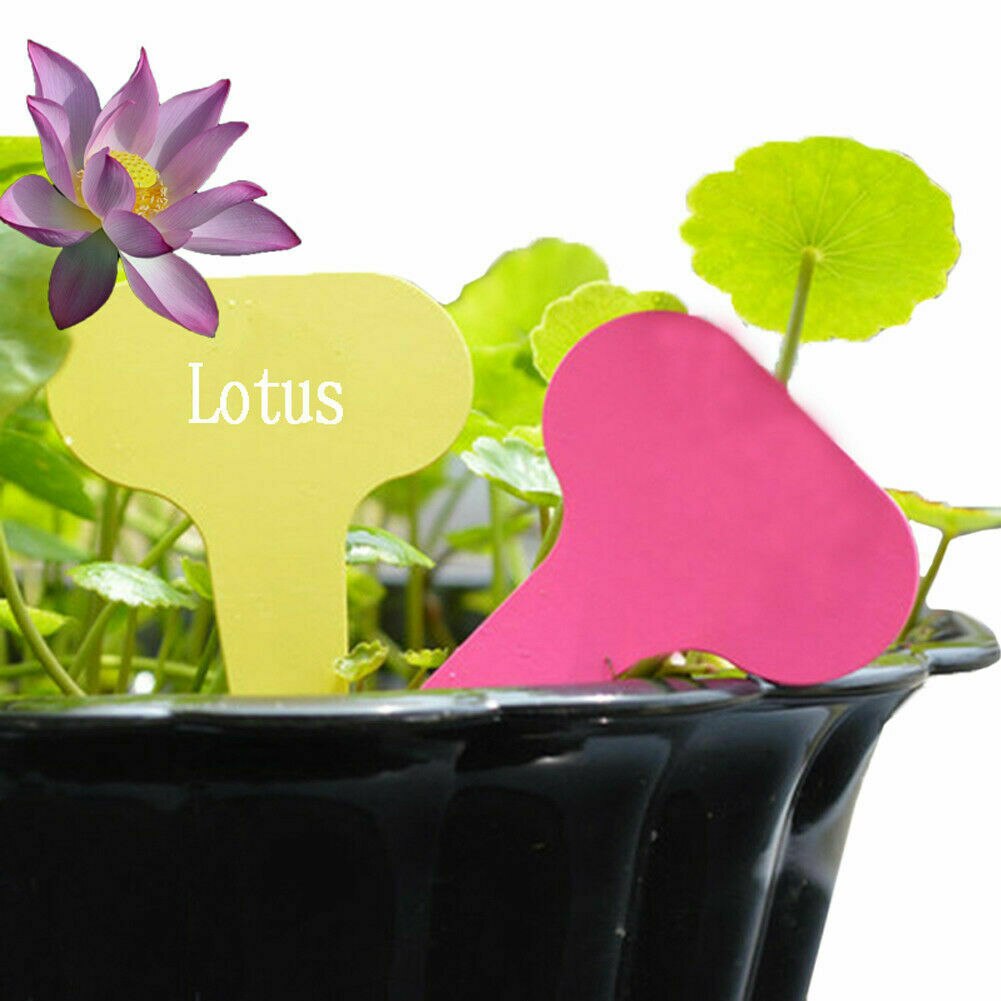 100Pcs Plant Labels 7 Colours Garden Stakes Markers Tags Waterproof Re-Usable Markers Flower Vegetables Potted Sign Stakes