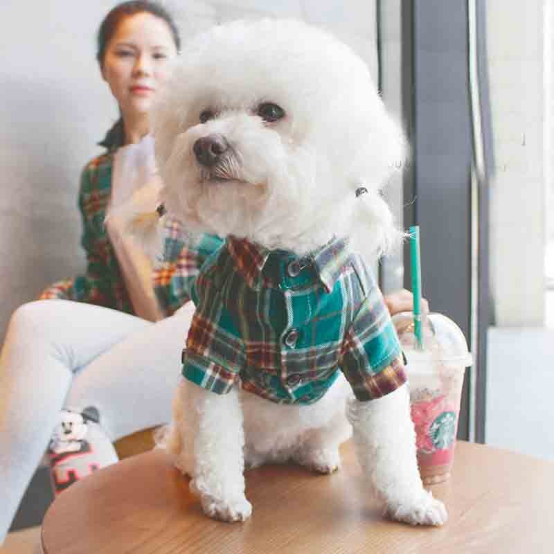 Ropa para padres e hijos, ropa para perros y gatos, ropa fina de verano para padres e hijos, camisa a cuadros, ropa para perros pequeños con bulldog Francés