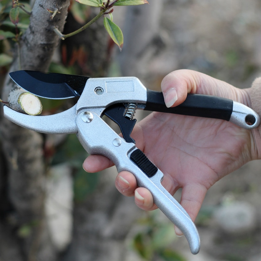 Fydun Knopfschneider 210mm – Rundzange Für Präzise Gartenschnitte An Bonsai Und Ästen