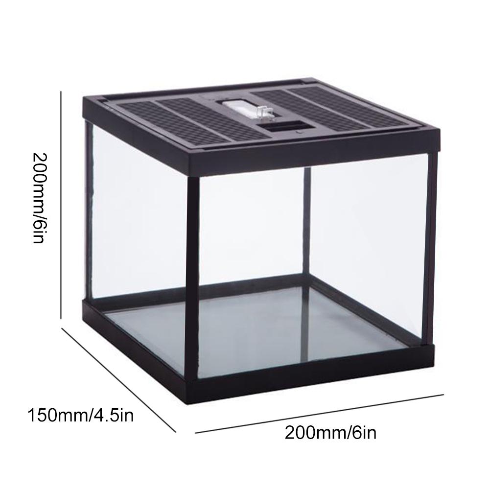 Reptile Glass Terrarium Natural Comfortable Glass Crawling Box Turtle Feeding Box Container: 01