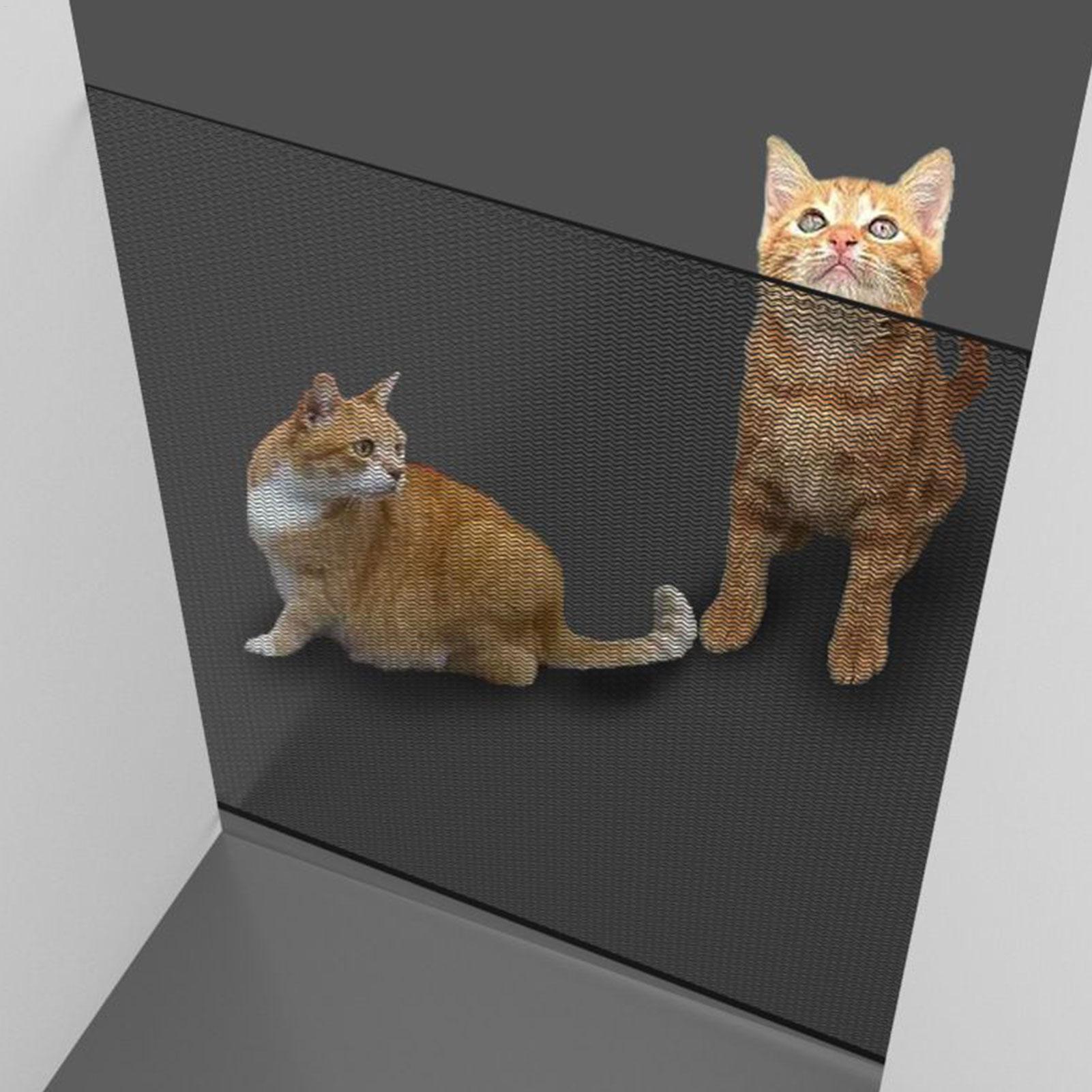 Rozsuwana bramka dla zwierząt, bramka dla psów, bramka bez wiercenia, bezpieczna siatka dla dzieci, osłona dla kota na schody wewnętrzne, patio, kominek, taras.