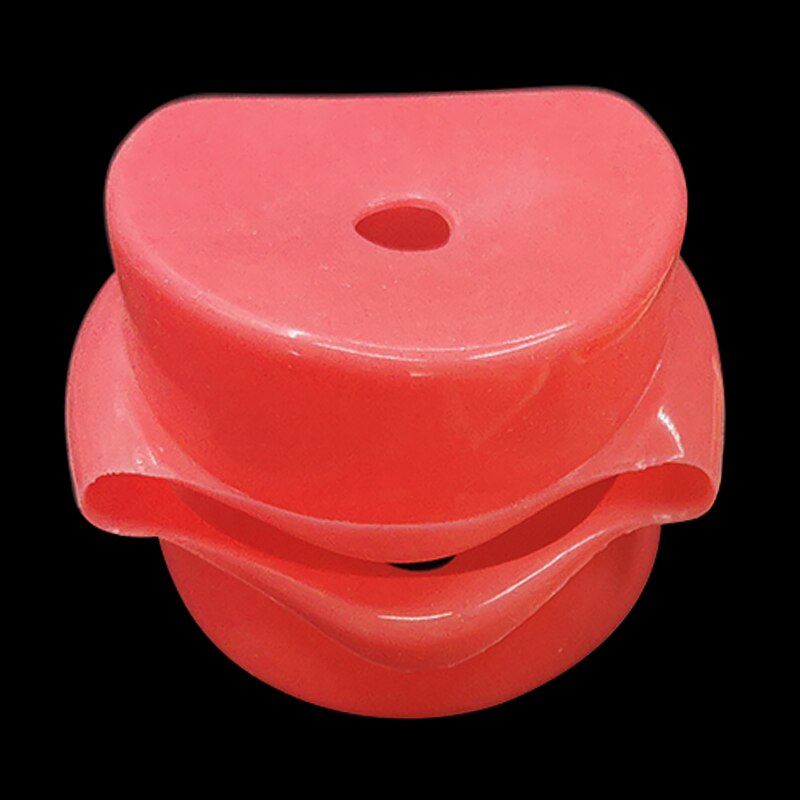 Dental Teeth Model Tooth Model With 28pcs Removable Typodent Teeth Practice For Students Dentistry Training Material Product: Face