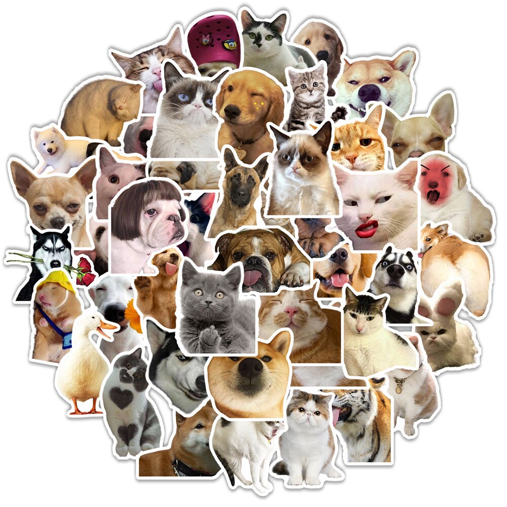 10/30/50PCS Funny Dog Cat Graffiti Stickers DIY Car Guitar Motorcycle Luggage Suitcase Classic Toy Decal Joke Sticker for Kid