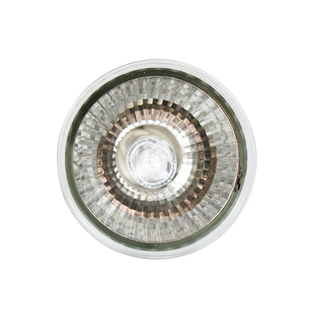 Lámpara de reptiles de 25/50/75W, 220V, Bombilla de calor para mascotas, Tortuga, UVA + UVB 3,0, bombillas de luz, anfibios, lagartos, controlador de temperatura: 1pc 75w 220V