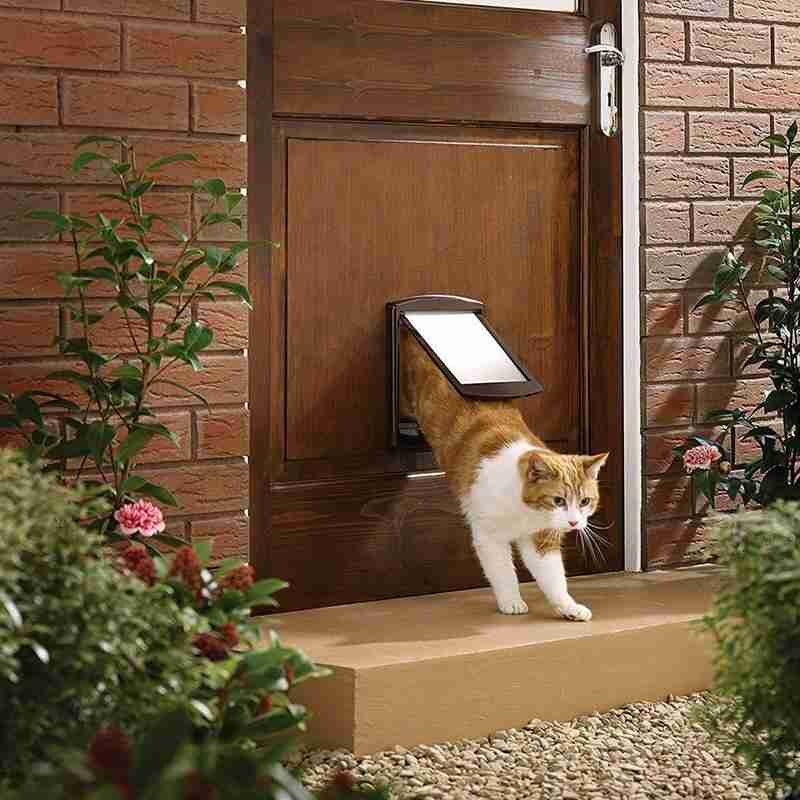 Puerta de seguridad con cerradura para mascotas, puerta de Control inteligente para entrada o salida, para perros y gatos, 14 Kg o menos