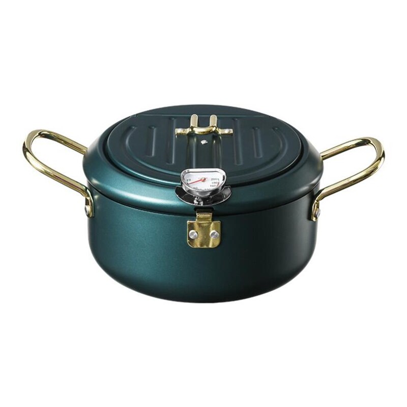 Olla para freír con tapa y termómetro, olla antiadherente de acero inoxidable para freír patatas fritas: Green