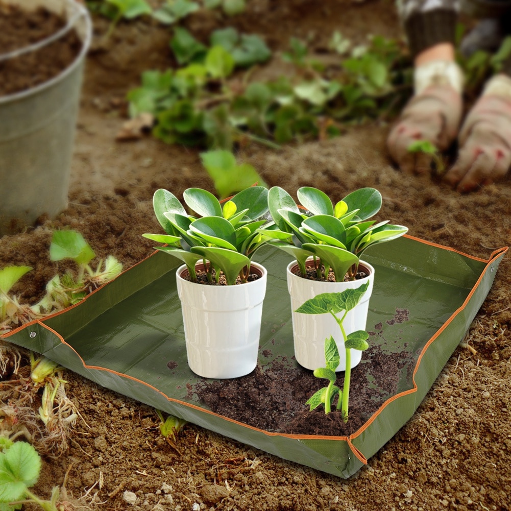 Trädgårdsplanta plantor repotting bricka inomhus transplantation drift snyggt blomkrukmatta