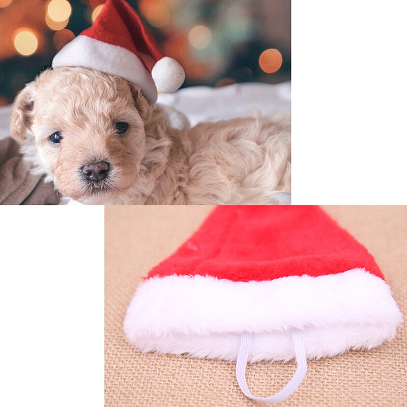 1x kattehund hund rød jul hat julemanden varm vinter hat kasket xmas kæledyr år kæledyr pleje hat
