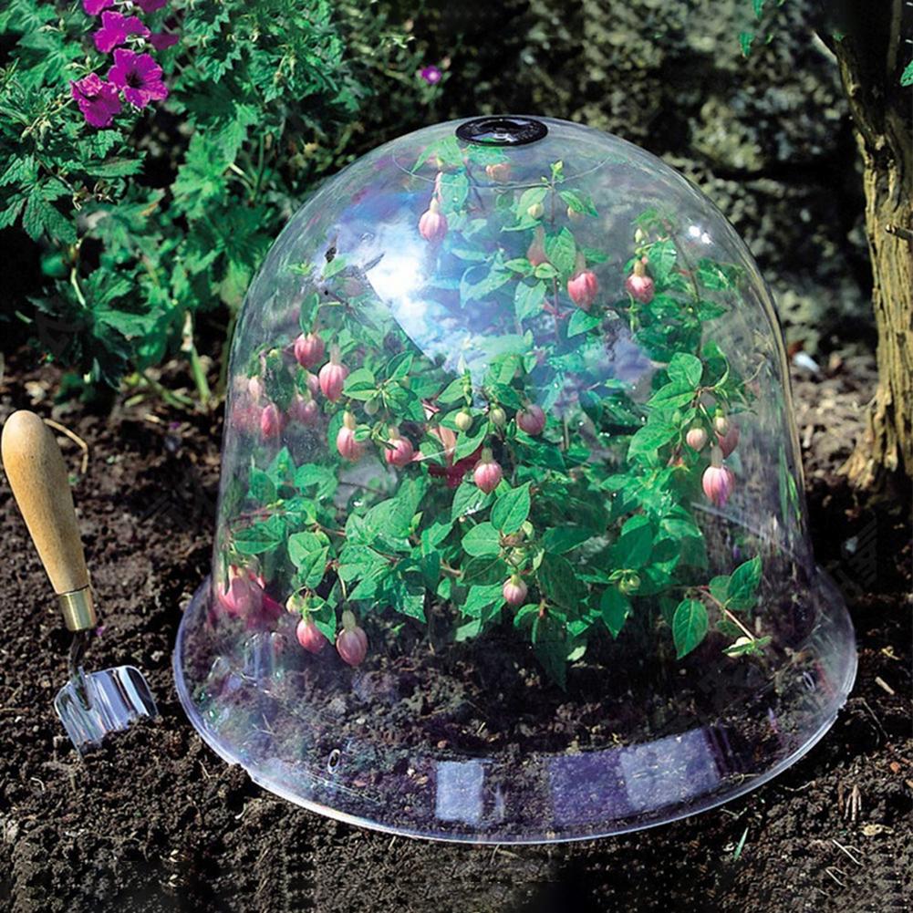 5 uds jardín Cloche cúpula planta Bell planta cubre para decoración de jardín Protector de plantas cubierta de plástico para tapa de protección de planta