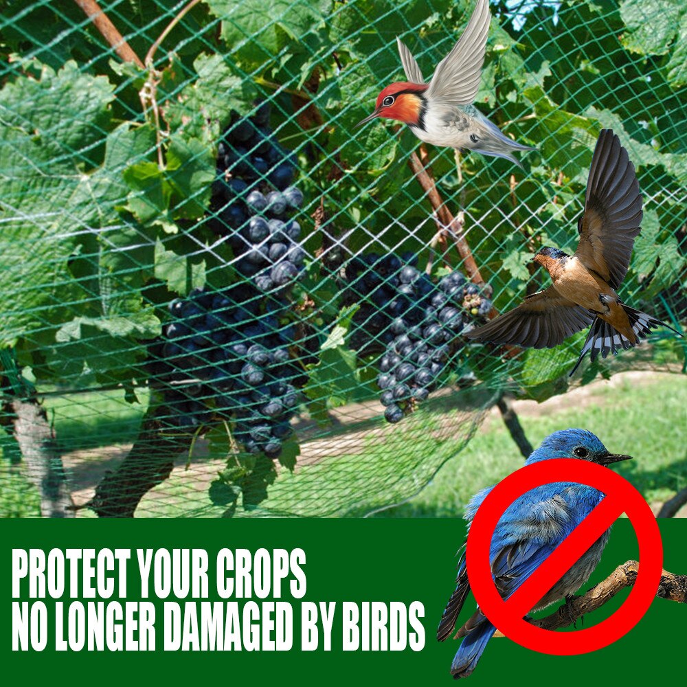 Green Bird Protection Net Protects Rodent Birds Protects Plants And Fruit Trees Vegetable Garden Flower Seeds Garden Netting