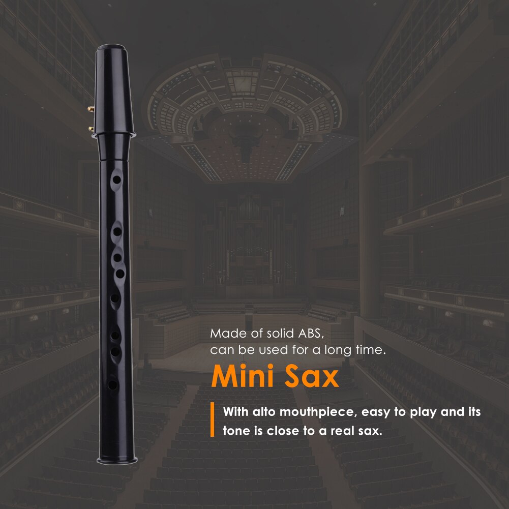 Mini Bb Saxophone Alto Mouthpiece Pocket Sax Mini Saxophone Portable Little Saxophone with 5 Reeds Woodwind Instruments