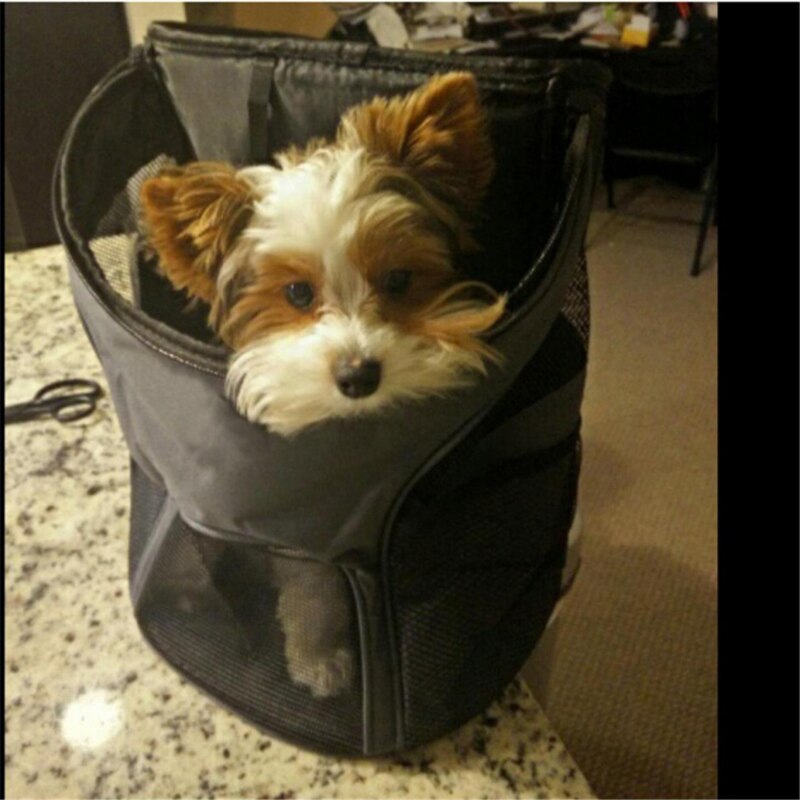 Hundetaske åndbar hund rygsæk stor kapacitet bærepose til bærbar udendørs rejse kæledyrsbærer