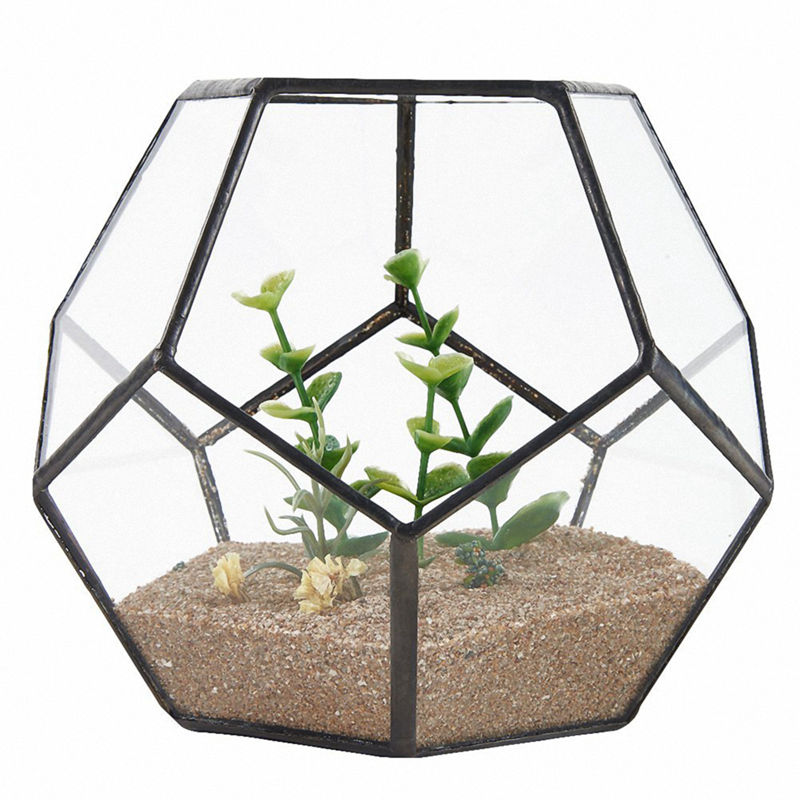 Geometrisches Glas Terrarium - Polyedrischer Blumentopf Für Sukkulenten 12x12x14cm