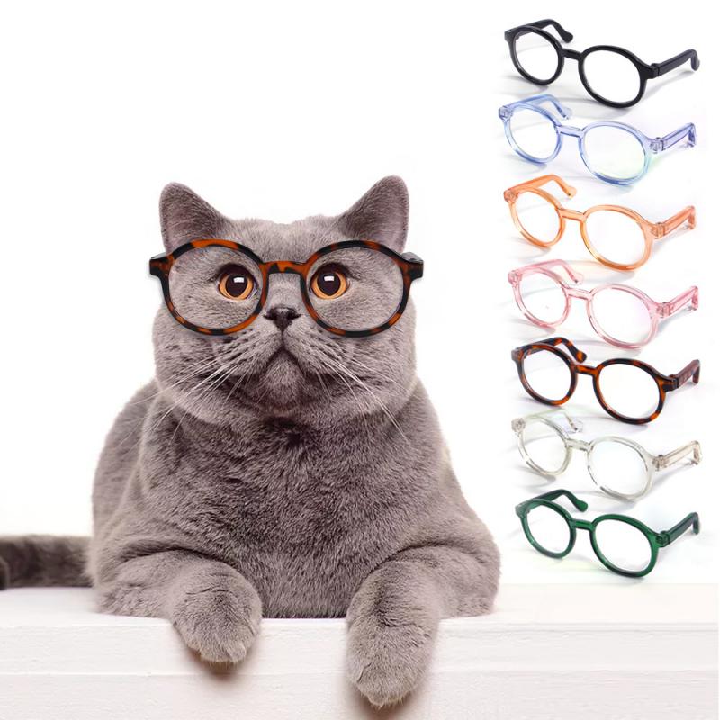 Pet simpatici occhiali in plastica trasparente gatto occhiali da sole cane Teddy personalità divertente Pet Dress Up accessori per la decorazione di articoli per animali domestici