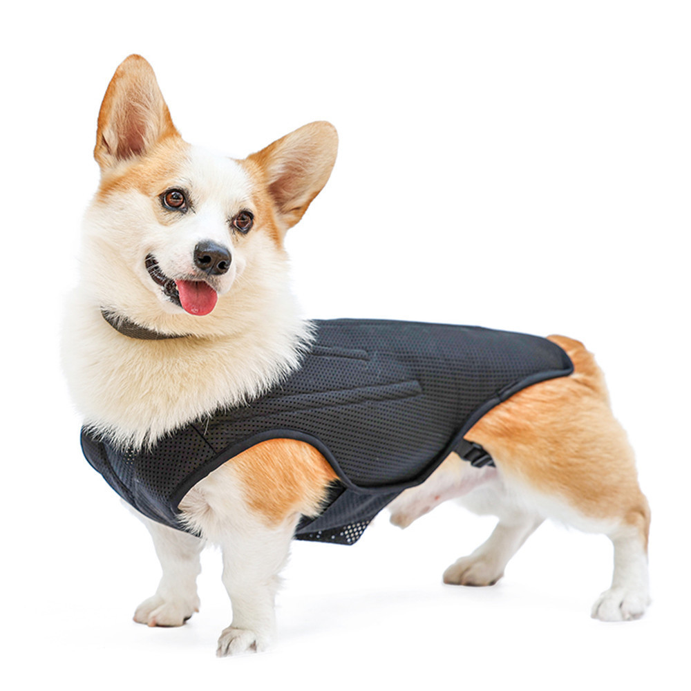 Pet Dog Back Protective Vest IVDD Intervertebral Disc Disease Recovery Brace Pet Back Pain Relief Support Harness Pet Supplies