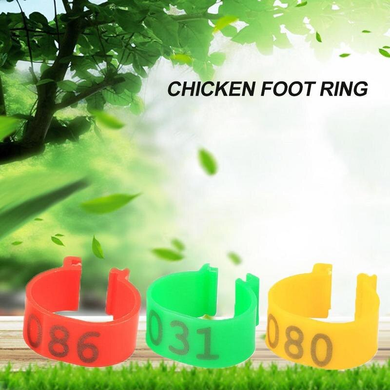 Anillos para pata de ave, 100 Uds., anillo con patas de gallina con letras, Logo especializado, Herramientas Abiertas, Paloma, pájaro, garra, anillo con hebilla de codorniz, Fe F6E7