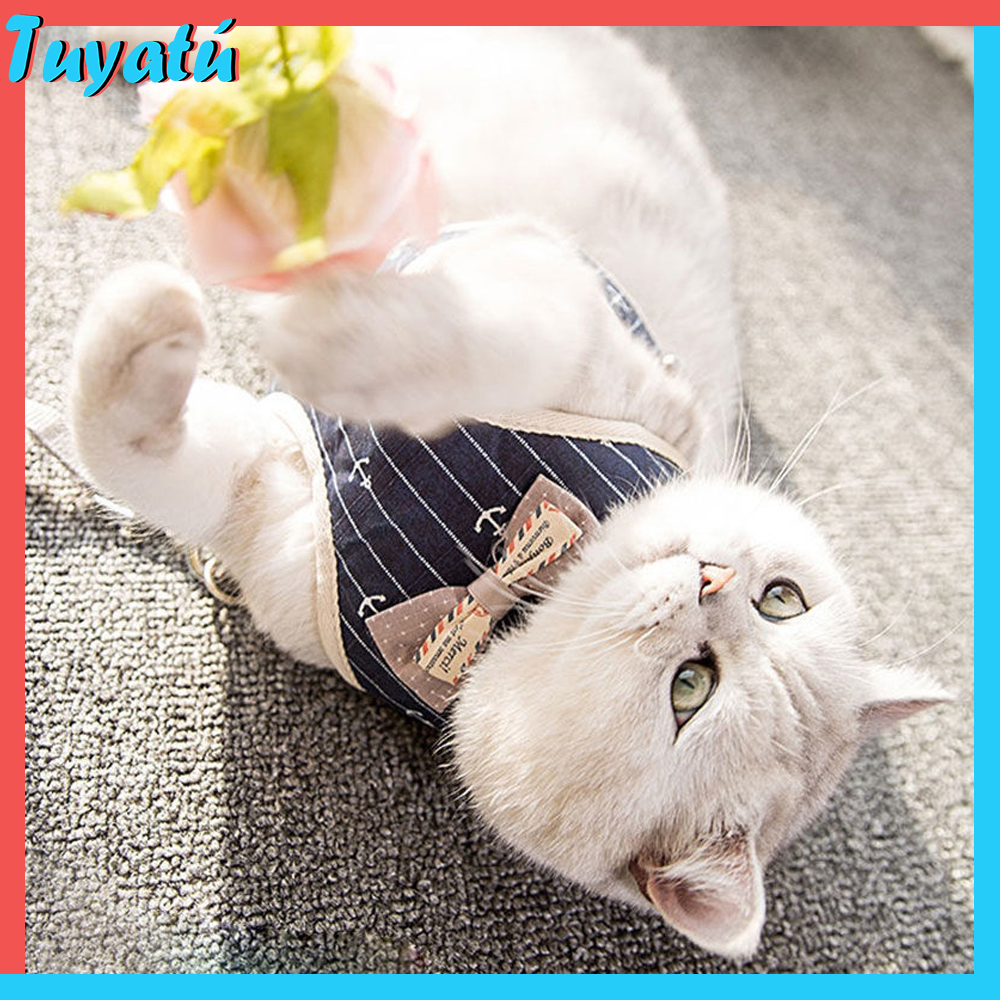 Conjunto de arnés y correa para gato, chaleco para cachorro y gatito, accesorios para mascotas, banda para el pecho