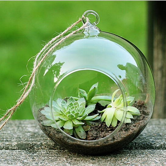 DIY Round Hanging Glass Vase Flower Pot Transparent Glass vase Hydroponic Container wedding Table Wall Garden Decoration