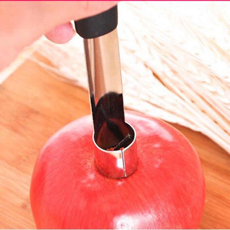 1 Stks Roestvrij Staal Twist Fruit Core Seed Remover Appelboor Zaaimachine Keuken Gadgets Fruit nucleaire Tools16