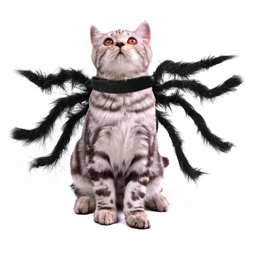 Halloween Dress Up Huisdier Spider Kostuum Borst Terug Party Decoratie Zachte Pluche Cosplay Feestelijke Kleding Cosplay Grappige Outfits: L / Black