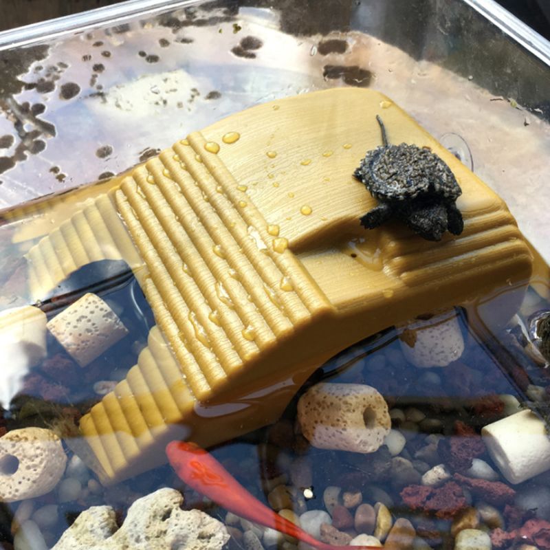 Reptiel Platform Schildpad Koesteren Aquarium Amfibie Aquatic Klim Tank Trap 50JD