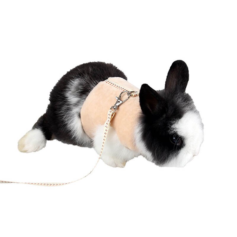 Sqinans mjuk flanell hamster marsvin sele med koppel set små husdjur tillbehör kanin väst kläder promenad koppel: Kaki / L