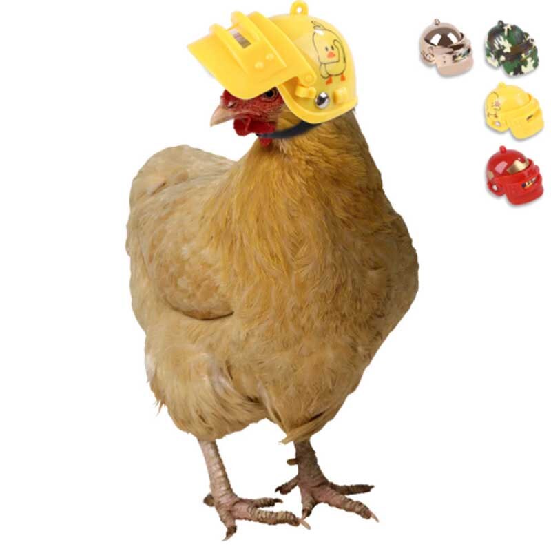 Huisdierhelm grappige kippenhelm hoofdbescherming compacte kip eenden vogels helm vogelhoed capuchon