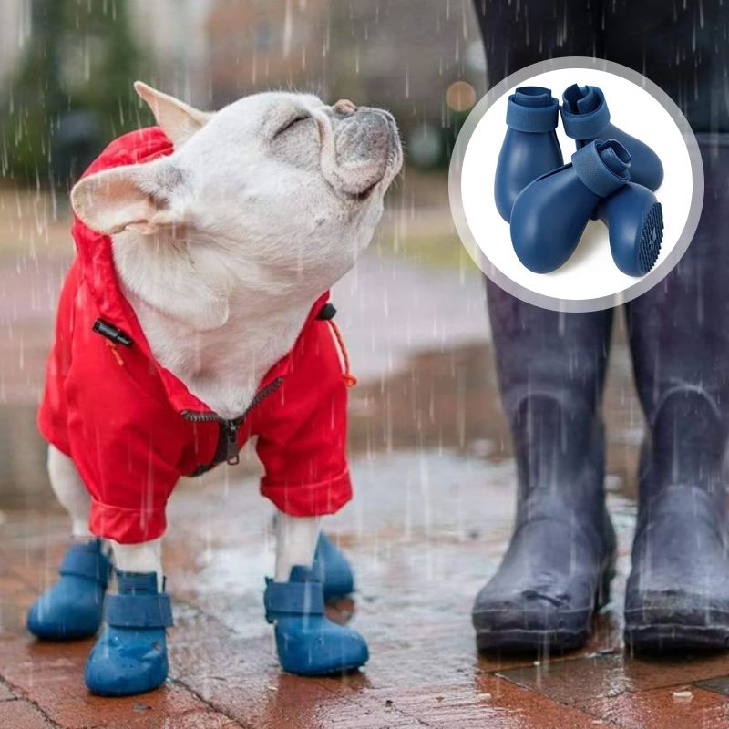 4 Uds. Zapatos de lluvia impermeables para Gato, Botas de lluvia antideslizantes de silicona para perros, botas de goma para exteriores para perros pequeños, medianos y grandes