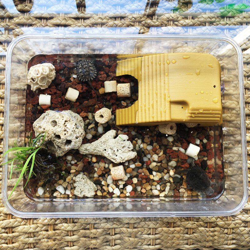 Aquarium Schildpad Klimmen Platform Reptiel Koesteren Amfibie Aquatic Klim Tank Trap Drijvende Landschapsarchitectuur Supply Platform