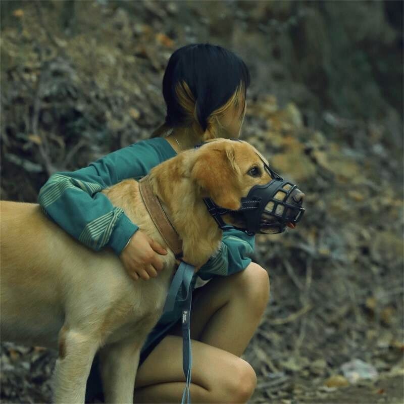 Hoopet Ademend Duurzaam Snuit Voor Grote Hond Corgi Alaska Masker Golden Retriever Aangelijnd Harnas Nylon Uitje Huisdier Mand Leverancier